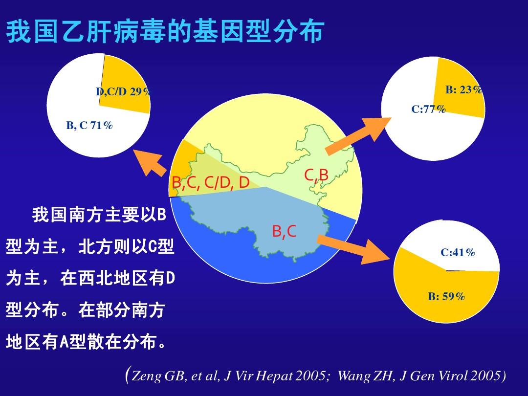 乙肝最新研究突破及前景展望