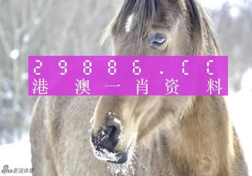 最準(zhǔn)一肖一碼100%澳門,深度解答解釋定義_至尊版61.321