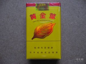 黃金葉最新動態(tài)，創(chuàng)新與發(fā)展引領(lǐng)行業(yè)前行趨勢