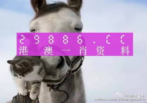 2024澳門買馬最準(zhǔn)網(wǎng)站,效率資料解釋落實(shí)_頂級版33.640