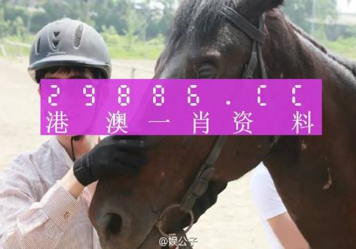 新澳門一肖一碼中｜動態(tài)詞匯解析