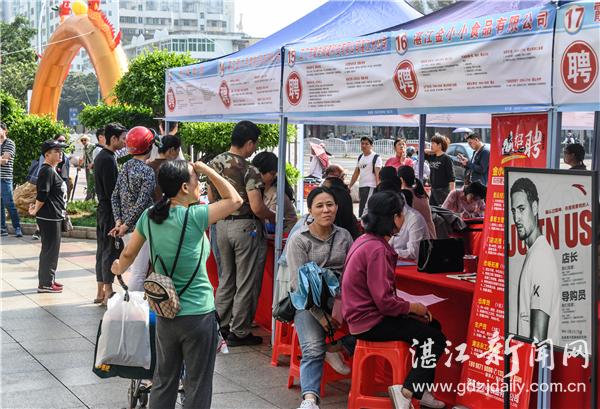 湛江霞山最新招聘動態(tài)及發(fā)展機遇探討，招聘動態(tài)與機遇探討