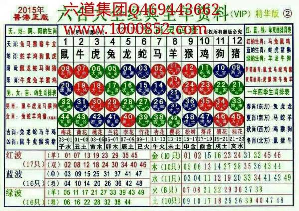 2024十二生肖49碼表｜最佳統(tǒng)計(jì)解答解釋落實(shí)