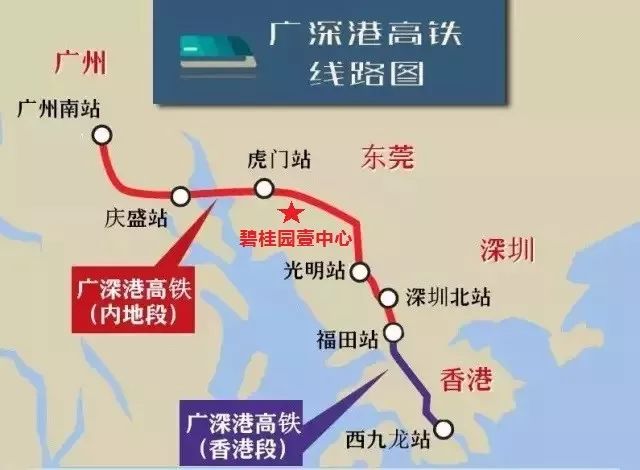 2024正版新奧管家婆香港｜全面把握解答解釋策略