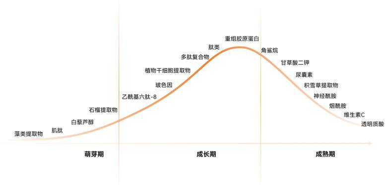 2024精準資料大全免費｜政策解釋落實