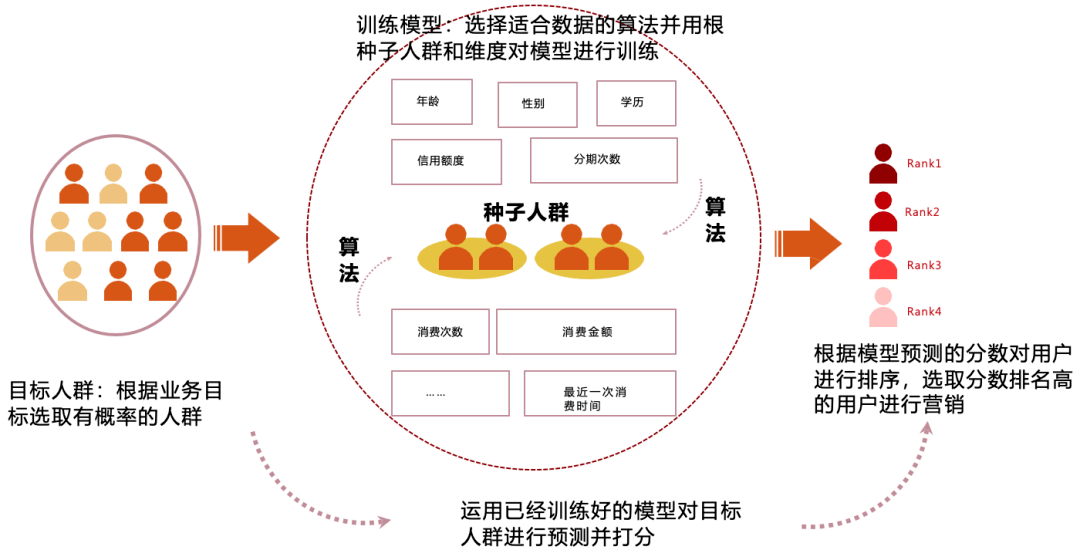 一肖一碼免費(fèi),公開(kāi)｜精細(xì)化策略落實(shí)探討