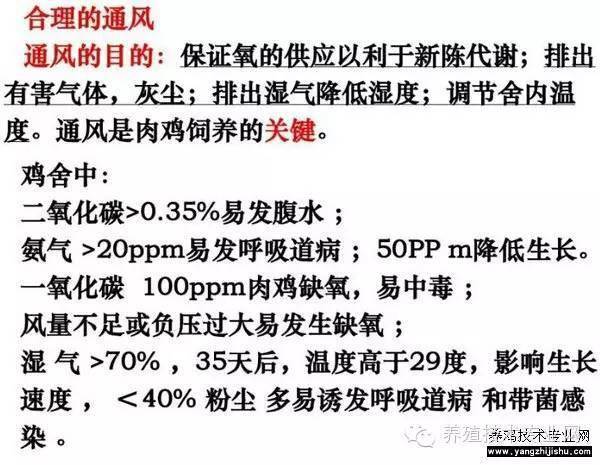 2024新澳今晚資料雞號(hào)幾號(hào)｜數(shù)據(jù)說明解析解釋釋義