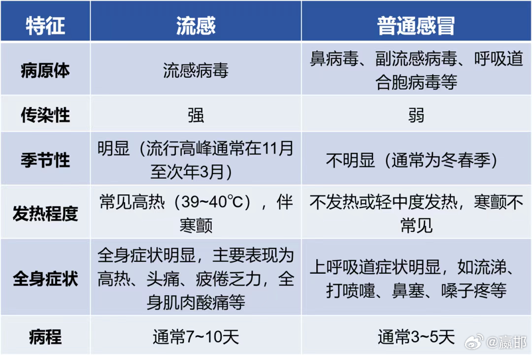 最新流感癥狀深度解析，影響、應(yīng)對全攻略